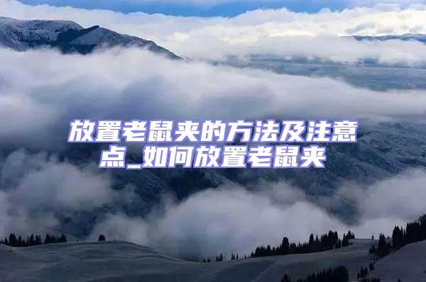 放置老鼠夾的方法及注意點(diǎn)_如何放置老鼠夾