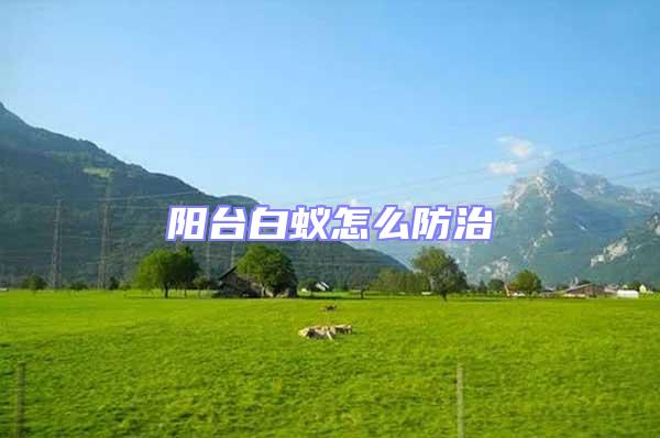 陽臺(tái)白蟻怎么防治