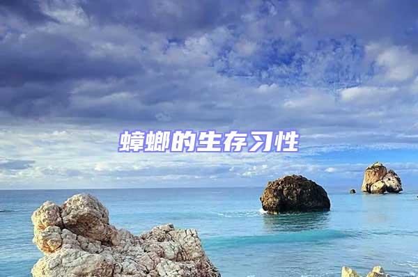 蟑螂的生存習性