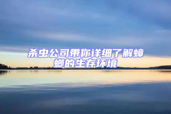 殺蟲公司帶你詳細了解蟑螂的生存環(huán)境