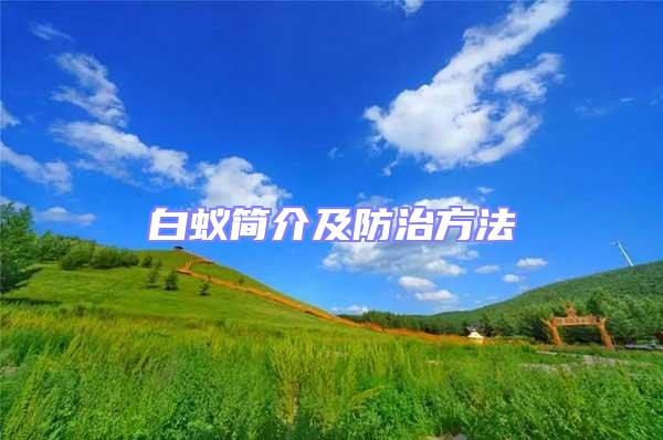 白蟻簡介及防治方法