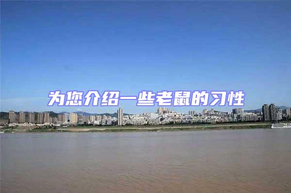 為您介紹一些老鼠的習性