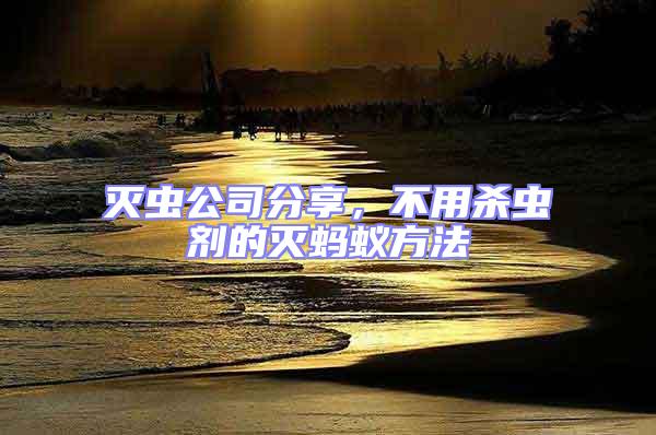 滅蟲公司分享，不用殺蟲劑的滅螞蟻方法
