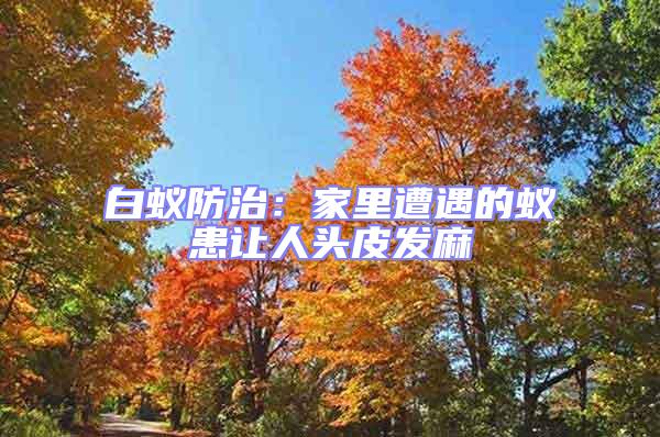 白蟻防治：家里遭遇的蟻患讓人頭皮發(fā)麻