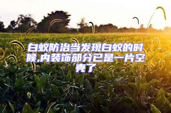 白蟻防治當(dāng)發(fā)現(xiàn)白蟻的時(shí)候,內(nèi)裝飾部分已是一片空殼了