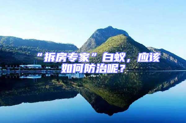 “拆房專家”白蟻，應該如何防治呢？