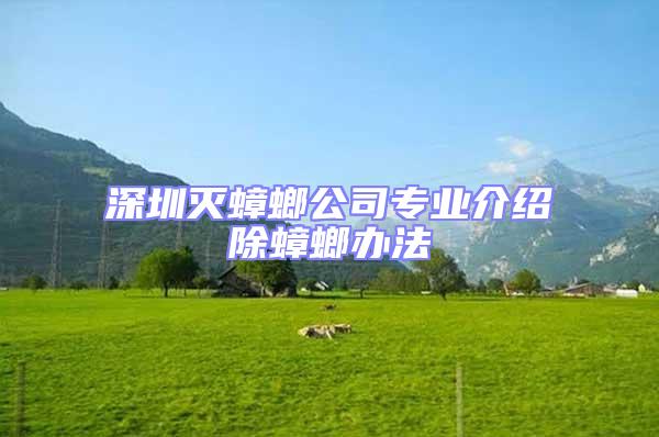 深圳滅蟑螂公司專業介紹除蟑螂辦法