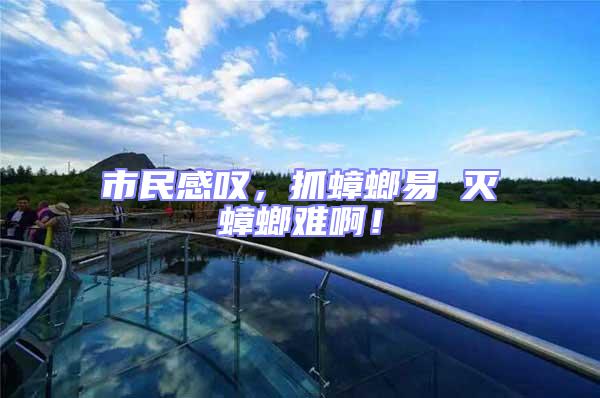 市民感嘆，抓蟑螂易 滅蟑螂難啊！
