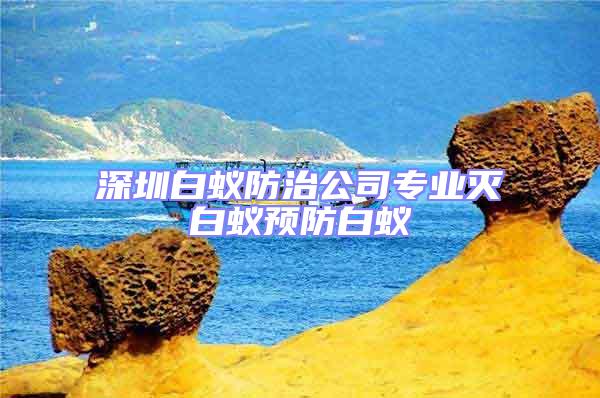 深圳白蟻防治公司專業(yè)滅白蟻預防白蟻