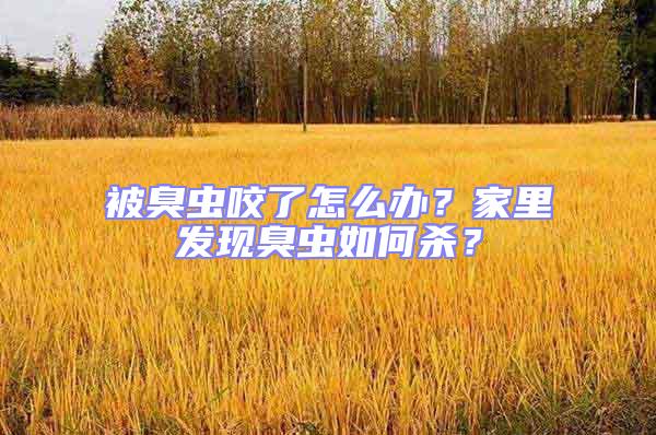 被臭蟲咬了怎么辦？家里發現臭蟲如何殺？