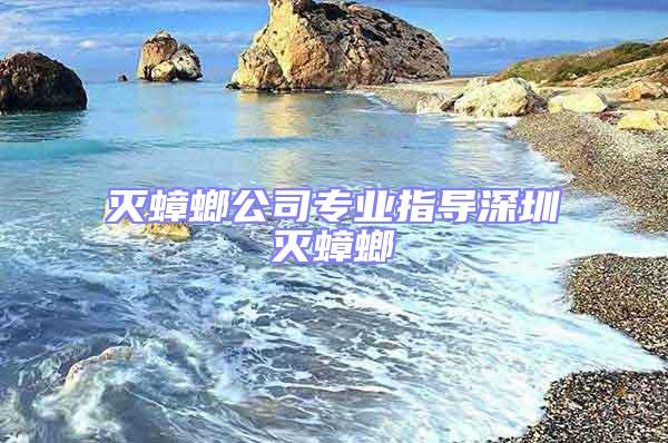 滅蟑螂公司專業指導深圳滅蟑螂