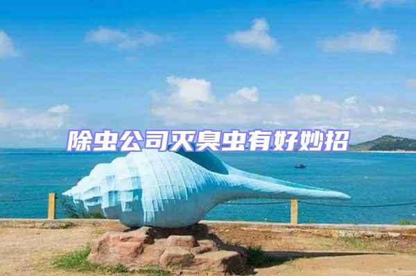 除蟲公司滅臭蟲有好妙招