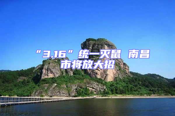 “3.16”統一滅鼠 南昌市將放大招