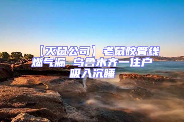【滅鼠公司】老鼠咬管線燃?xì)饴?烏魯木齊一住戶吸入沉睡