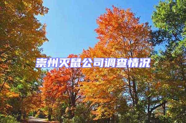 崇州滅鼠公司調查情況