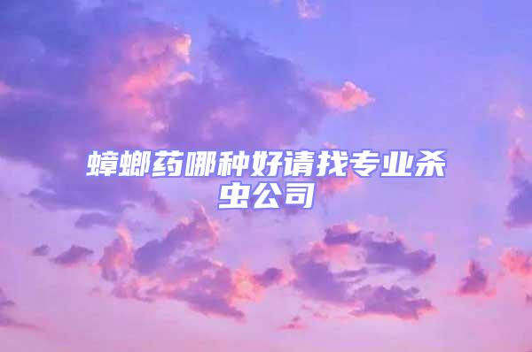 蟑螂藥哪種好請找專業殺蟲公司