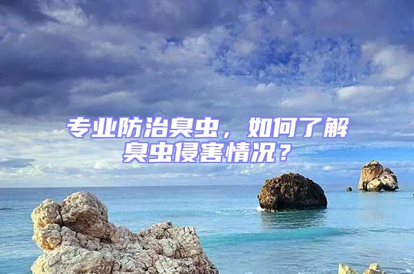 專業防治臭蟲，如何了解臭蟲侵害情況？