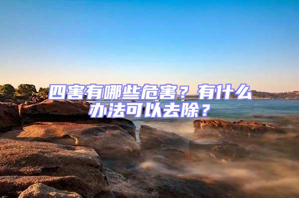 四害有哪些危害？有什么辦法可以去除？