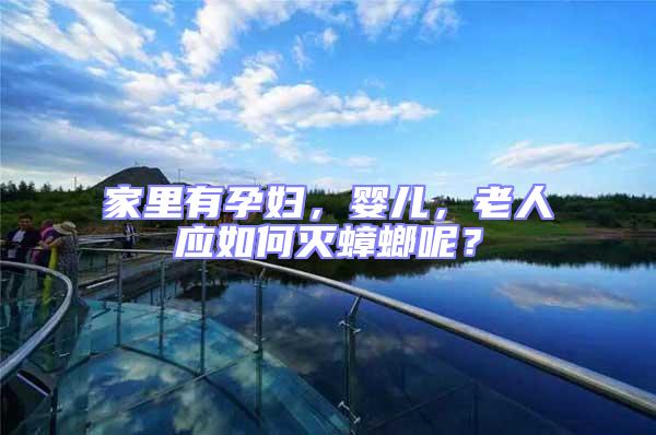 家里有孕婦，嬰兒，老人應如何滅蟑螂呢？
