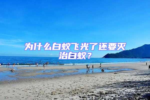 為什么白蟻飛光了還要滅治白蟻？