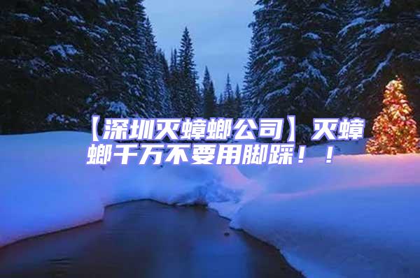 【深圳滅蟑螂公司】滅蟑螂千萬不要用腳踩??！