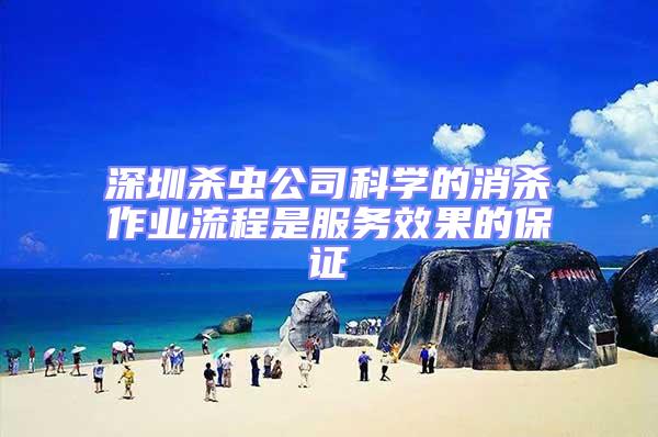 深圳殺蟲公司科學的消殺作業流程是服務效果的保證