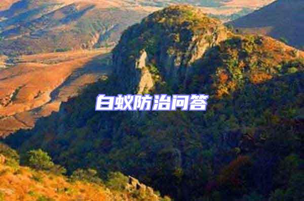 白蟻防治問答