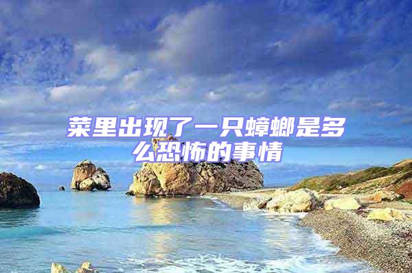 菜里出現(xiàn)了一只蟑螂是多么恐怖的事情