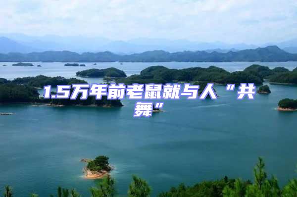 1.5萬(wàn)年前老鼠就與人“共舞”