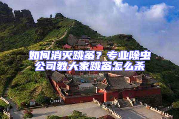 如何消滅跳蚤？專業除蟲公司教大家跳蚤怎么殺
