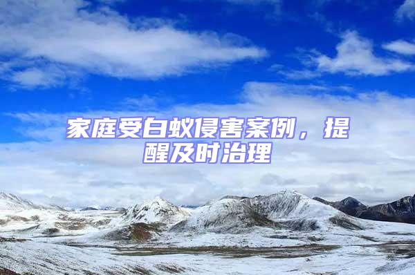 家庭受白蟻侵害案例，提醒及時治理
