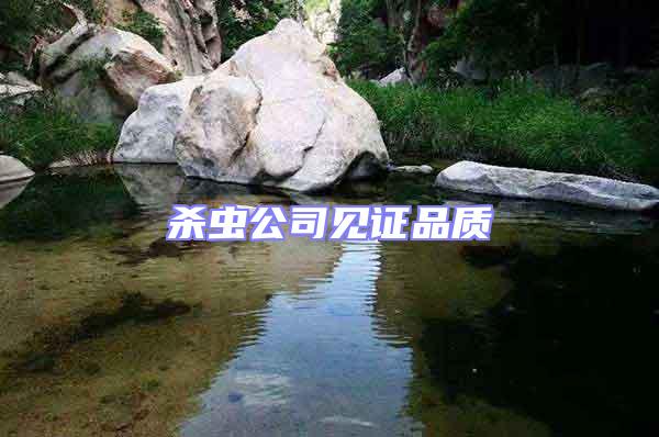 殺蟲公司見證品質