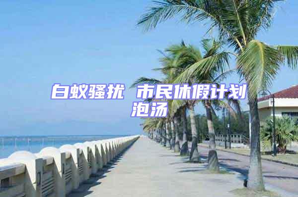 白蟻騷擾 市民休假計(jì)劃泡湯