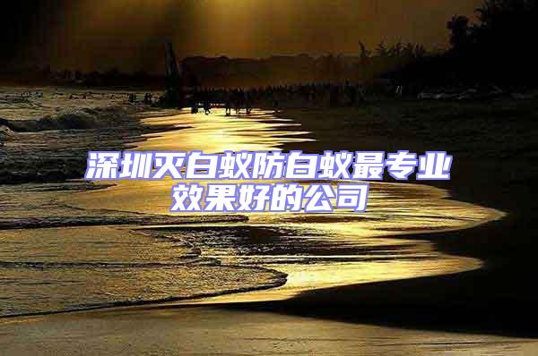 深圳滅白蟻防白蟻?zhàn)顚I(yè)效果好的公司
