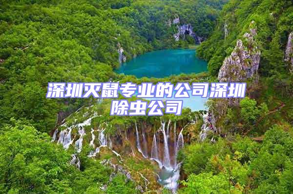 深圳滅鼠專業的公司深圳除蟲公司