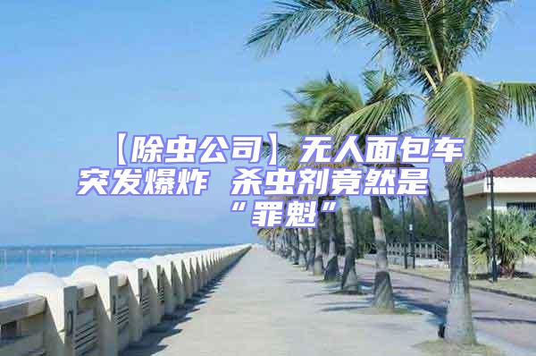 【除蟲公司】無人面包車突發(fā)爆炸 殺蟲劑竟然是“罪魁”