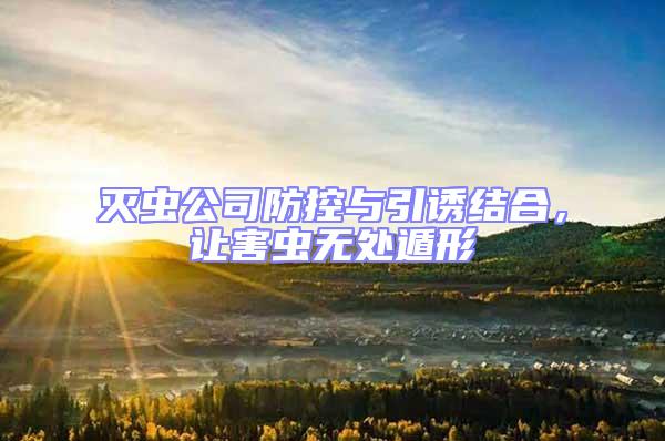 滅蟲公司防控與引誘結合，讓害蟲無處遁形