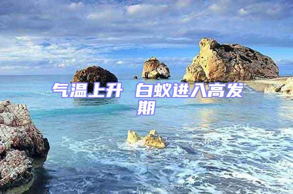 氣溫上升 白蟻進入高發期
