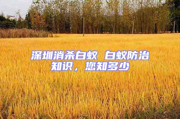 深圳消殺白蟻 白蟻防治知識(shí)，您知多少