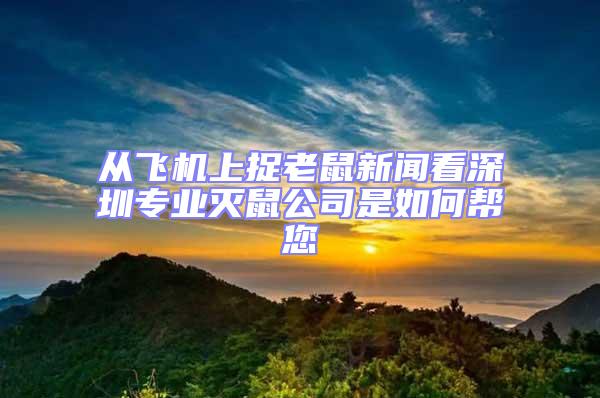 從飛機上捉老鼠新聞看深圳專業滅鼠公司是如何幫您