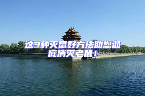 這3種滅鼠好方法助您徹底消滅老鼠！