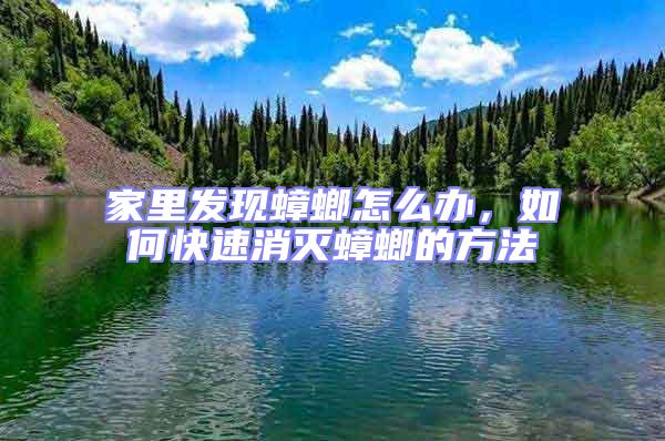 家里發(fā)現(xiàn)蟑螂怎么辦，如何快速消滅蟑螂的方法