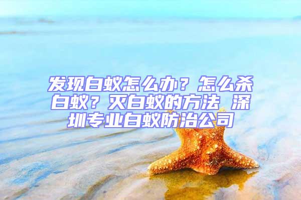 發(fā)現(xiàn)白蟻怎么辦？怎么殺白蟻？滅白蟻的方法 深圳專業(yè)白蟻防治公司
