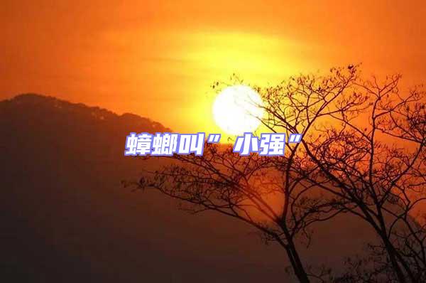 蟑螂叫”小強”