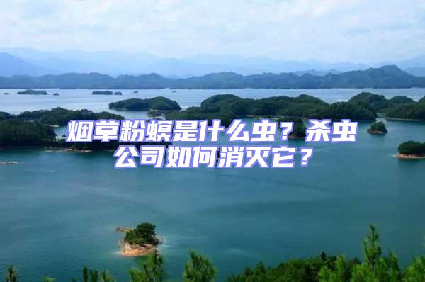 煙草粉螟是什么蟲(chóng)？殺蟲(chóng)公司如何消滅它？