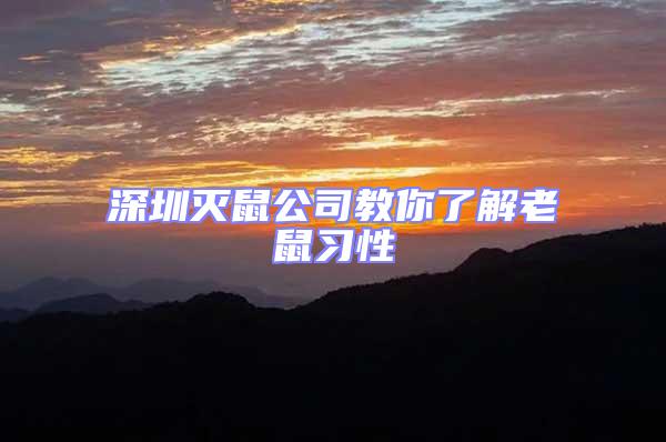 深圳滅鼠公司教你了解老鼠習性