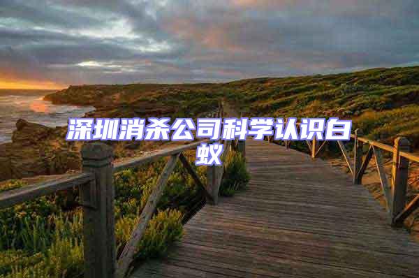 深圳消殺公司科學(xué)認識白蟻