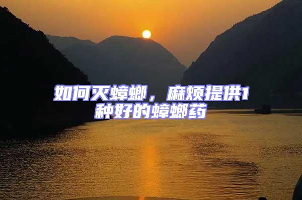 如何滅蟑螂，麻煩提供1種好的蟑螂藥