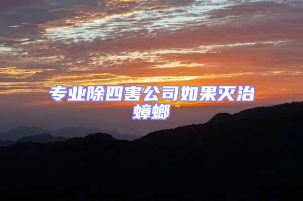 專業除四害公司如果滅治蟑螂