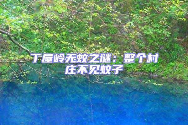 丁屋嶺無蚊之謎：整個村莊不見蚊子